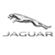 JAGUAR image